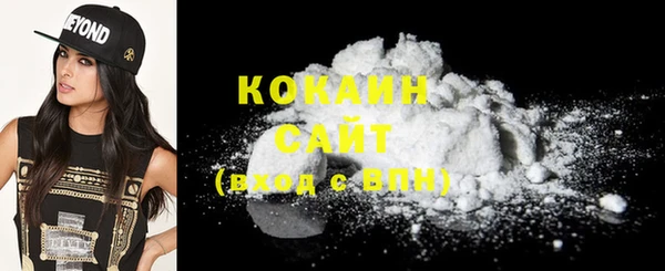 стаф Кодинск