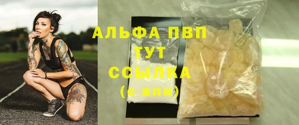 спиды Козельск