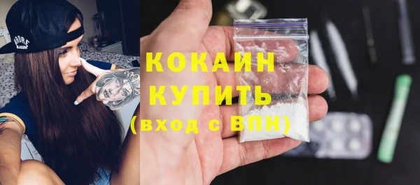 стаф Кодинск