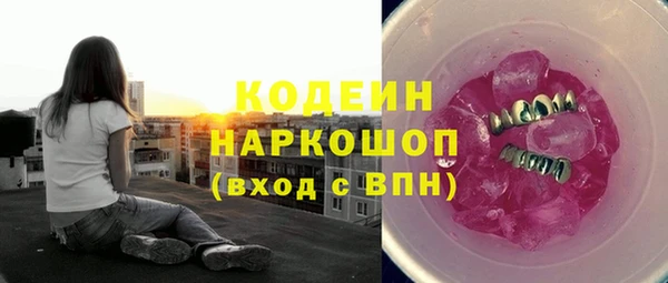 стаф Кодинск