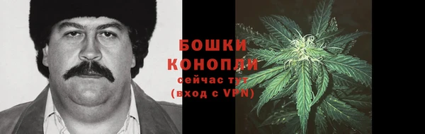 спиды Козельск