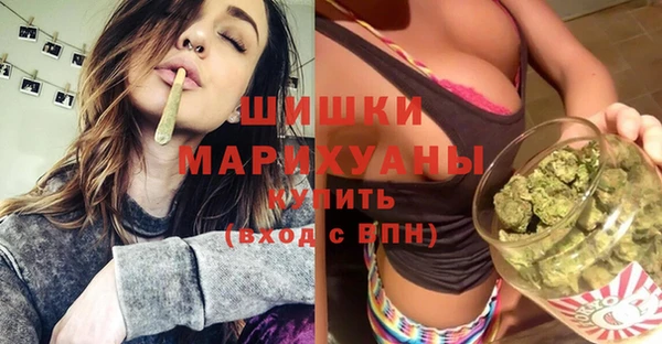 стаф Кодинск