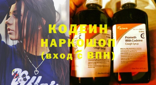 стаф Кодинск